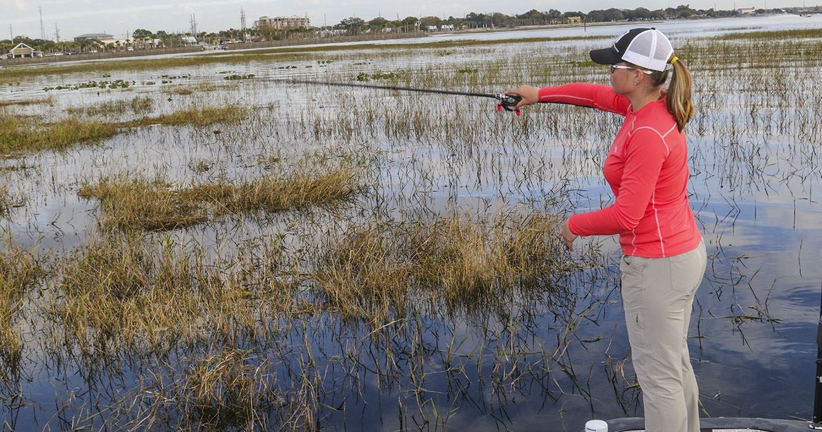 10 Things to Know to Catch Bass in Vegetation
