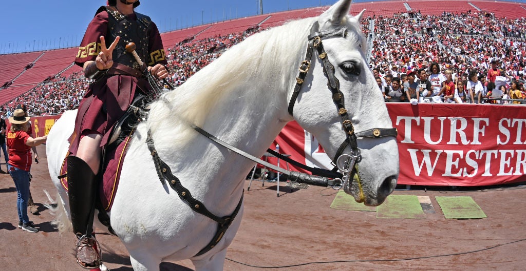College football Recent study reveals the 16 biggest fan bases