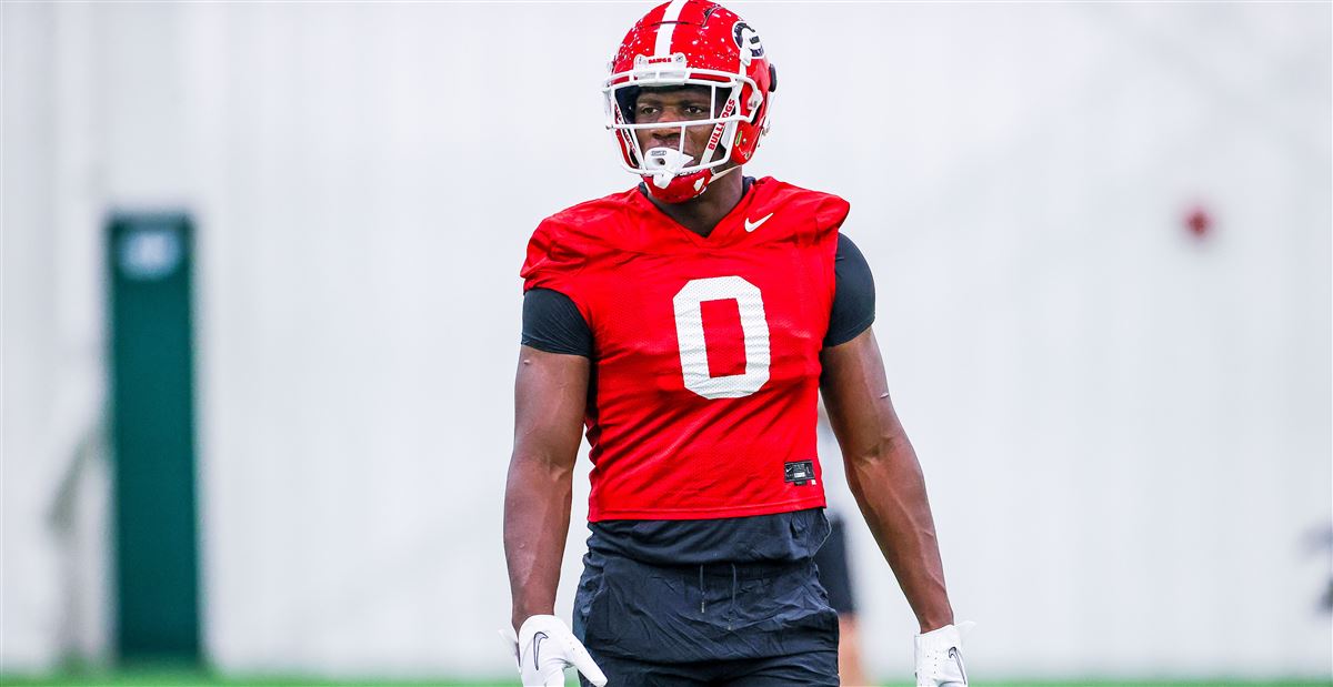 Darnell Washington, TE, Georgia