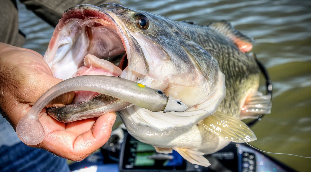 5 Lures I Choose for Bass Fishing New Water