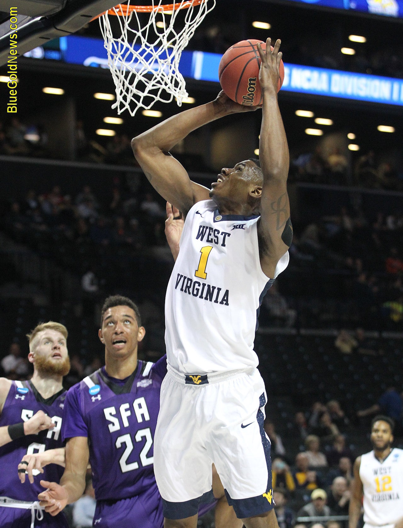 Bluegoldnews 247