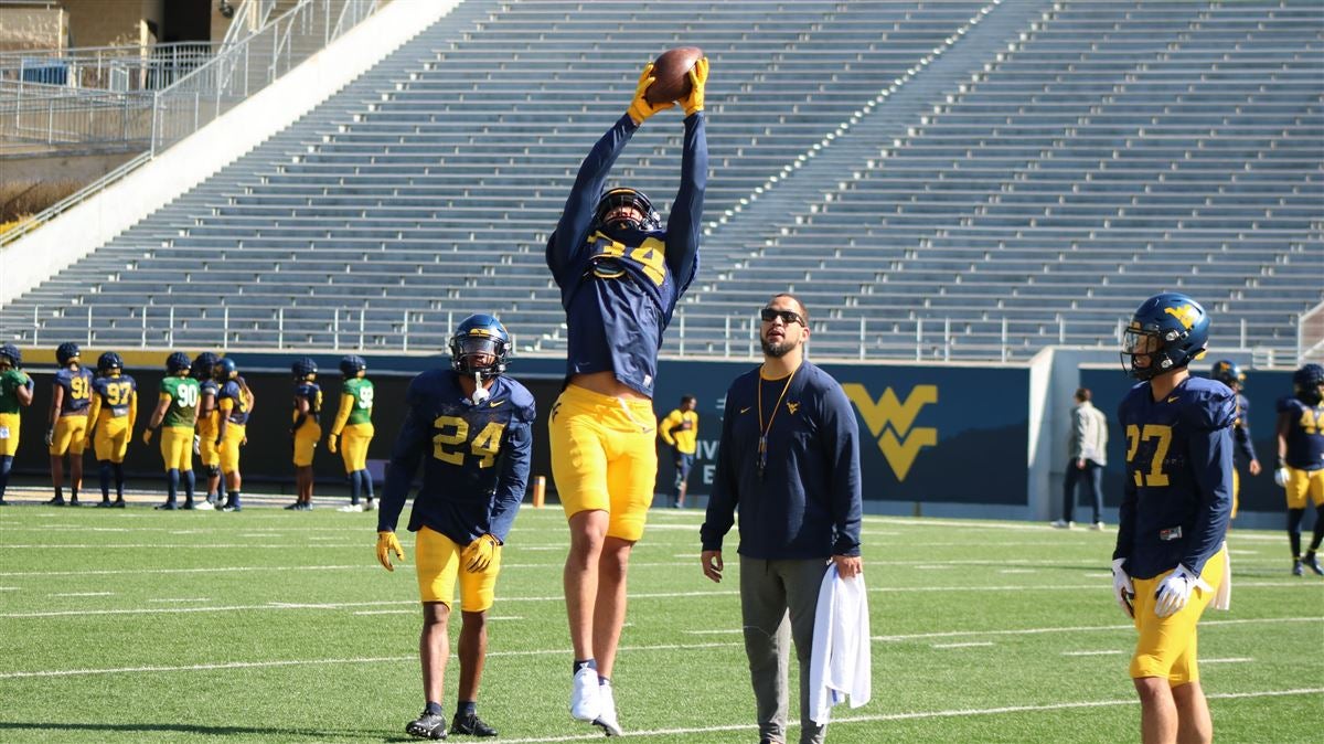 Alonzo Addae - Football - West Virginia University Athletics