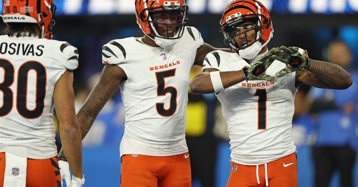 WATCH JaMarr Chase all but done with Bengals coaching staff after another ...