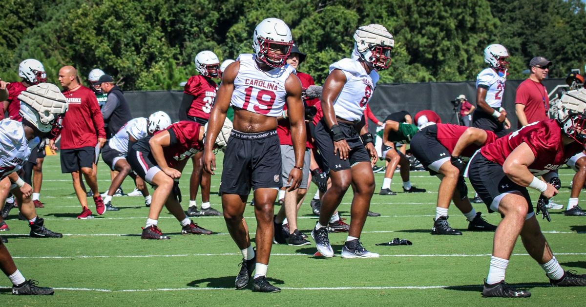 Johnson details Gamecocks' preparation for the Razorbacks