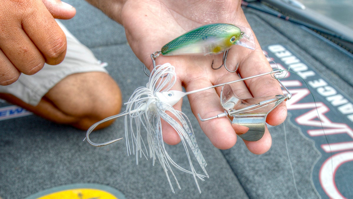 Why And How To Fish Fast For Fall Bass pertaining to Brilliant  fall bass fishing tips midwest intended for Property Why And How To Fish Fast For Fall Bass pertaining to Brilliant  fall bass fishing tips midwest intended for Property