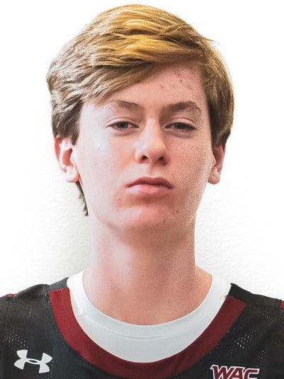 078ca914-a7ea-4235-a222-fa2e708eaea1