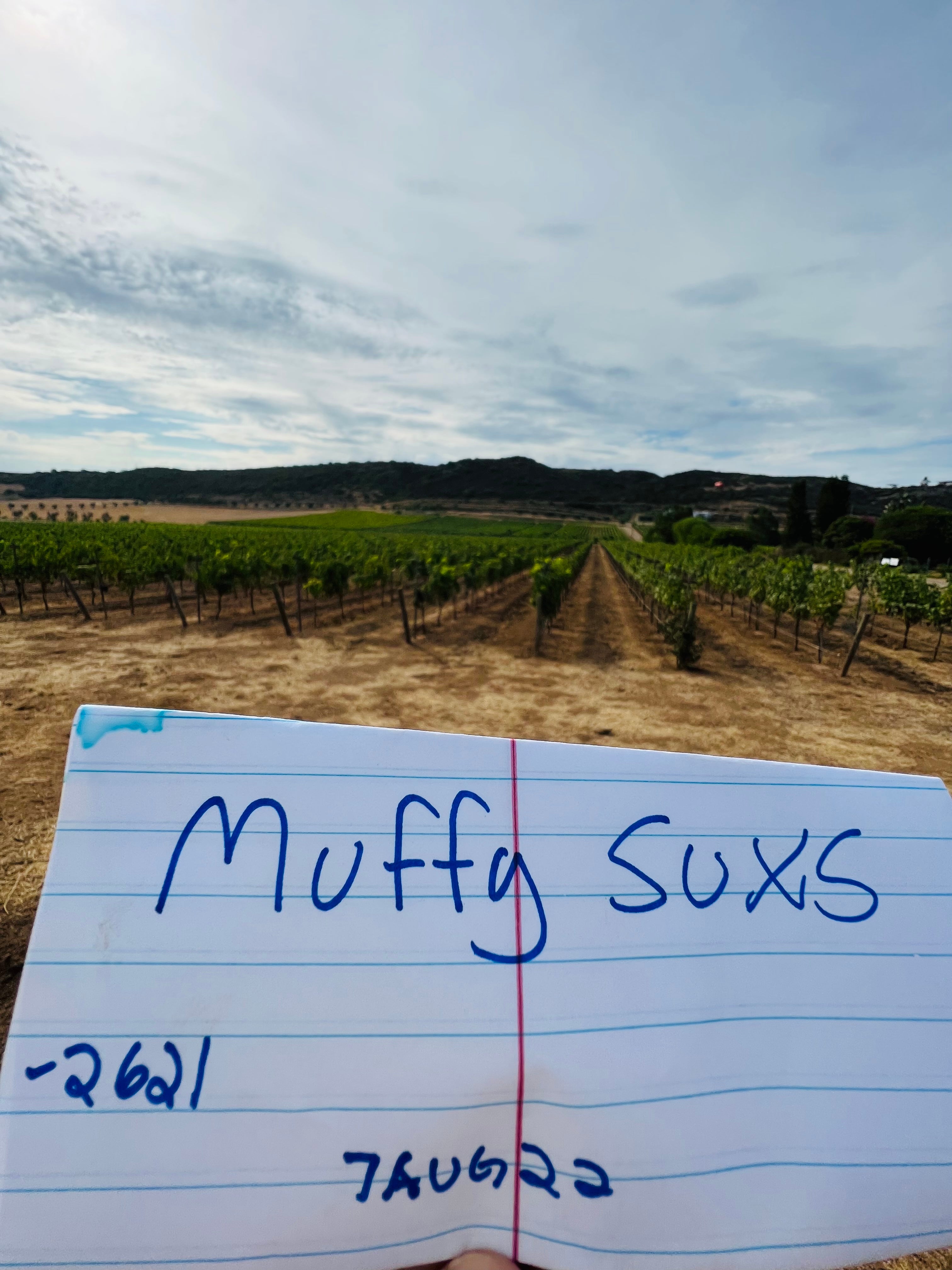 Store owner fights back stabs masked robber