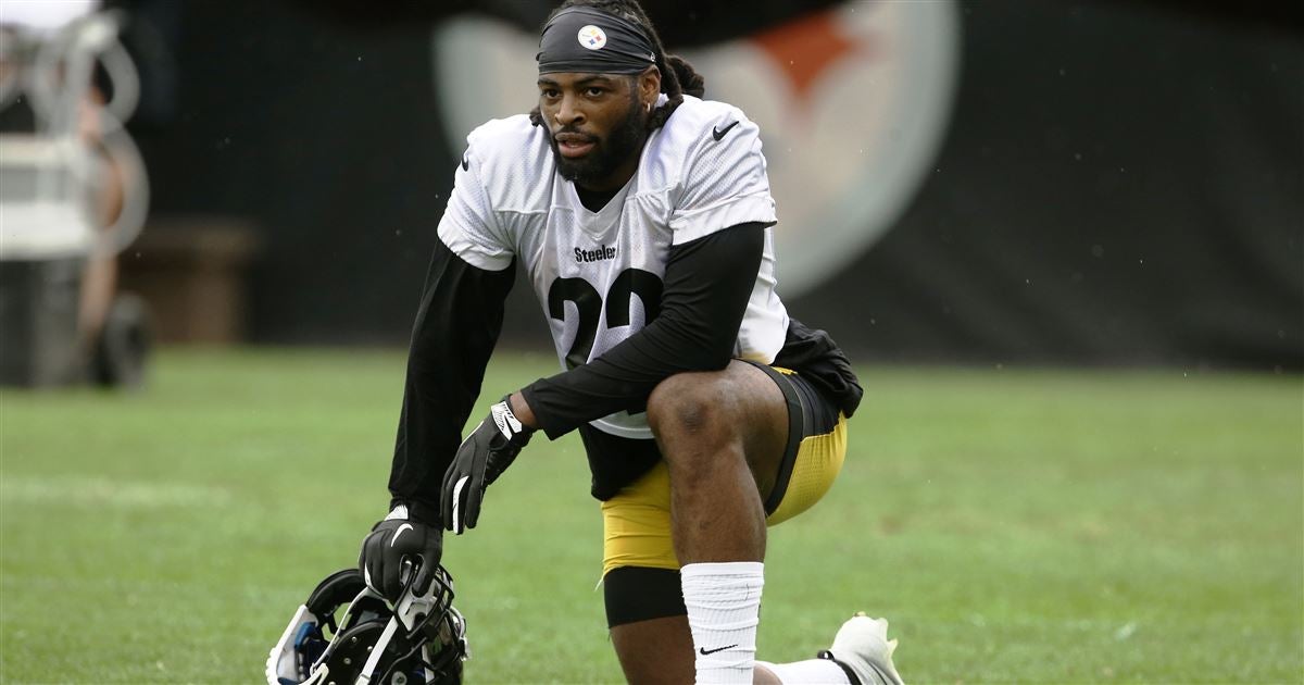 Steelers Waive 2019's Training Camp 'Phenom' Tuzar Skipper