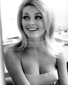 Melody patterson hot