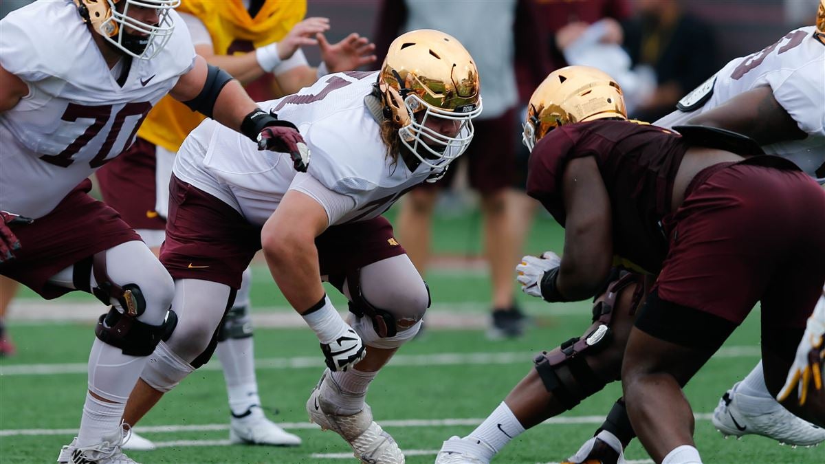 Minnesota OL Blaise Andries declares for NFL Draft : r/CFB