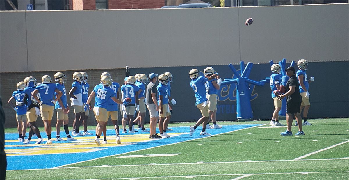 UCLA Bleacher Cushion - Campus Store