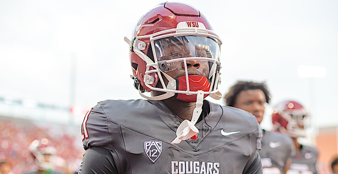 The 10 best running backs available in the transfer portal