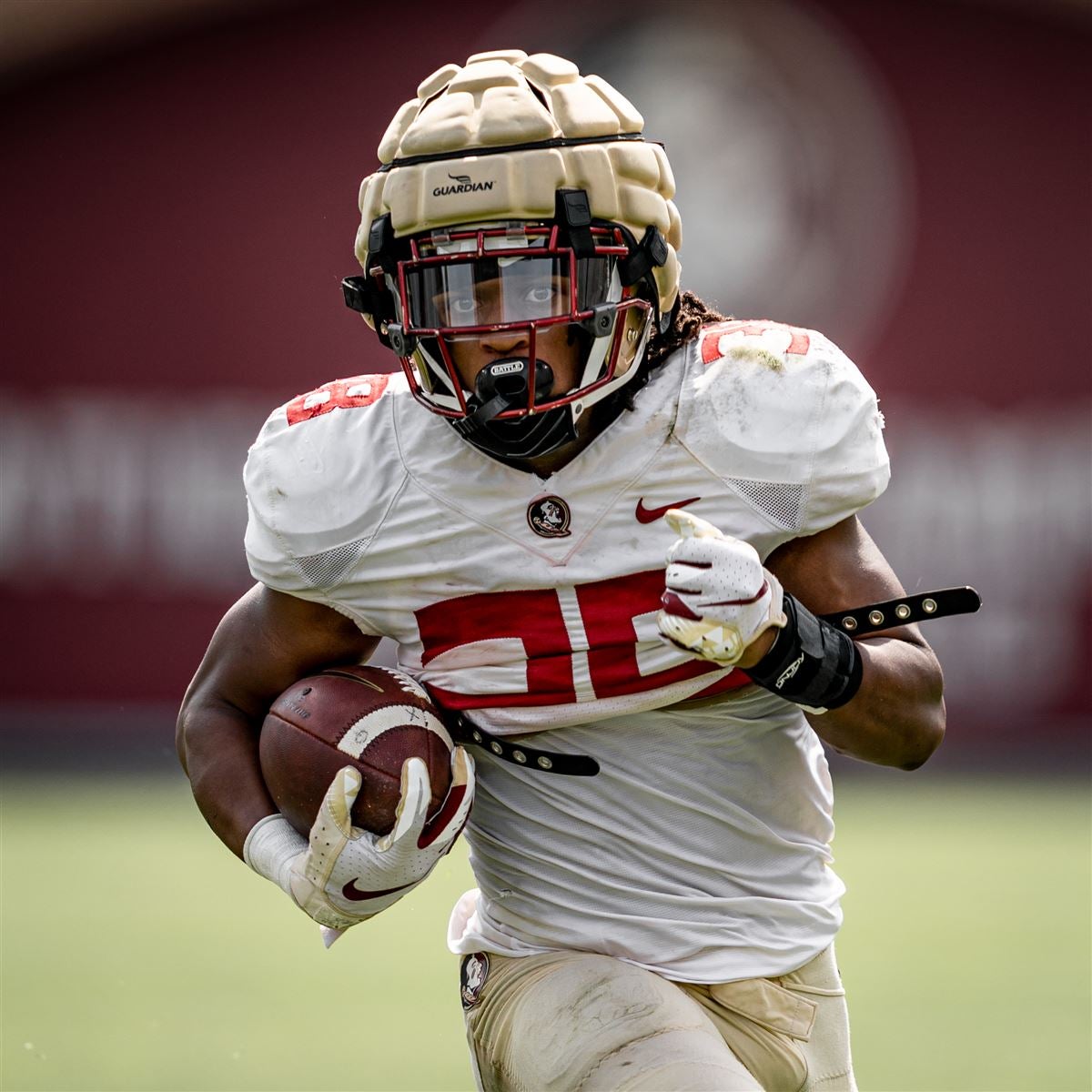 Photo Gallery FSU Scrimmage No. 2
