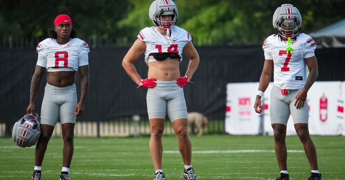 Beau Atkinson Poised for Bounce-Back Season on Ohio State Defense