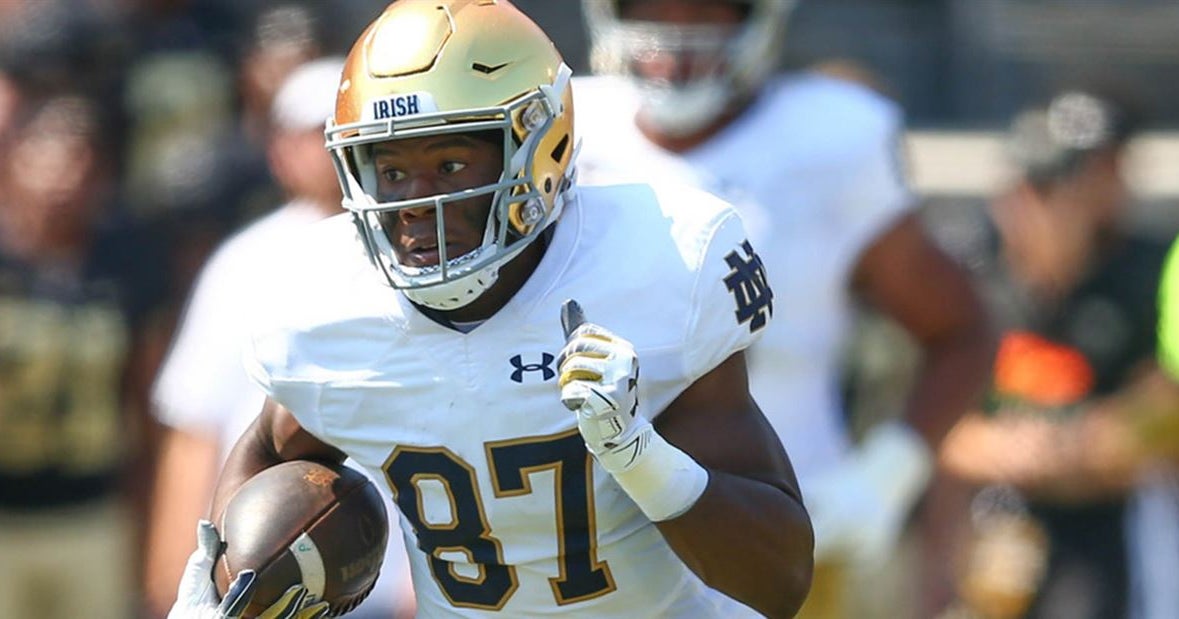 Former Notre Dame Wr Michael Young Transferring To Cincinnati