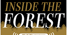 Inside the Forest 2026 Summer Series: Quarterback