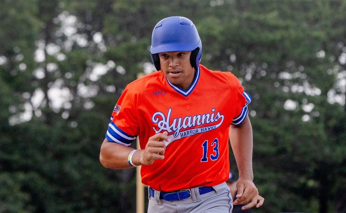 Florida State Seminoles Baseball in Summer Leagues