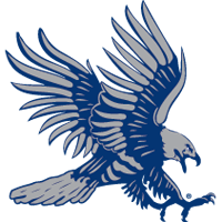 Blue Hawks