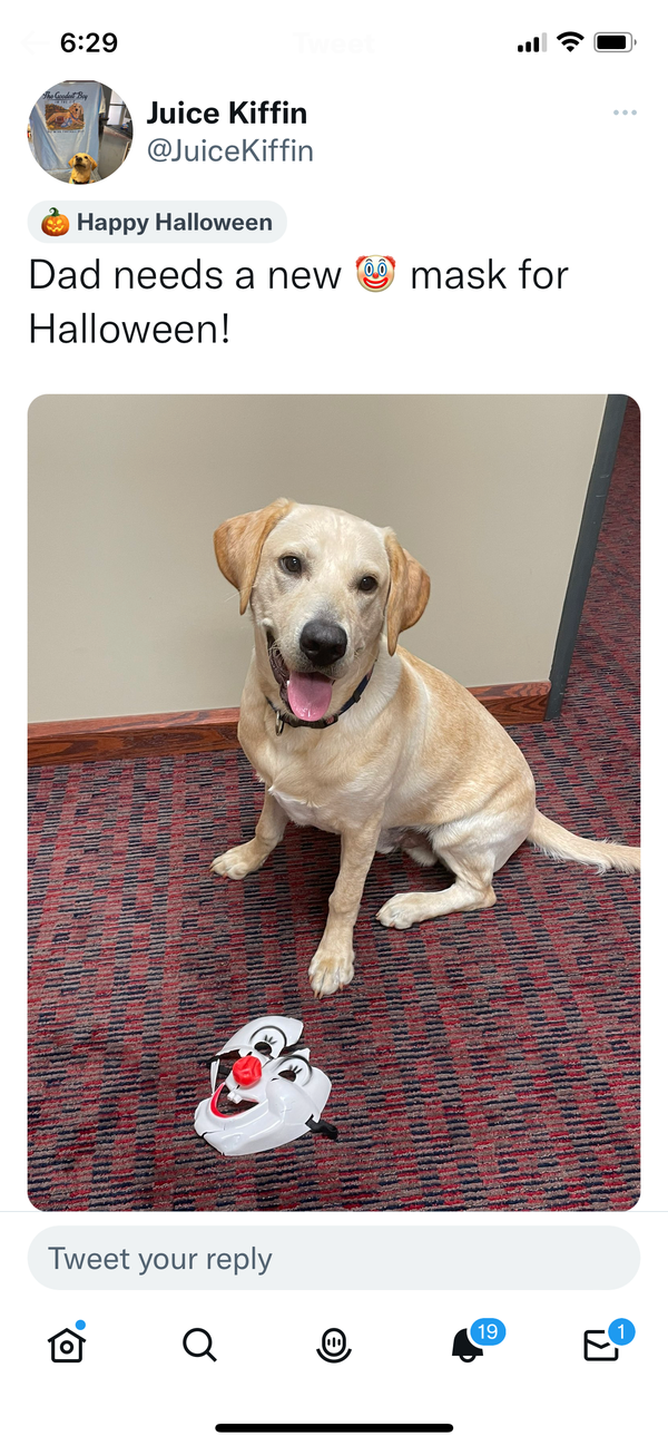 Juice Kiffin for the win….