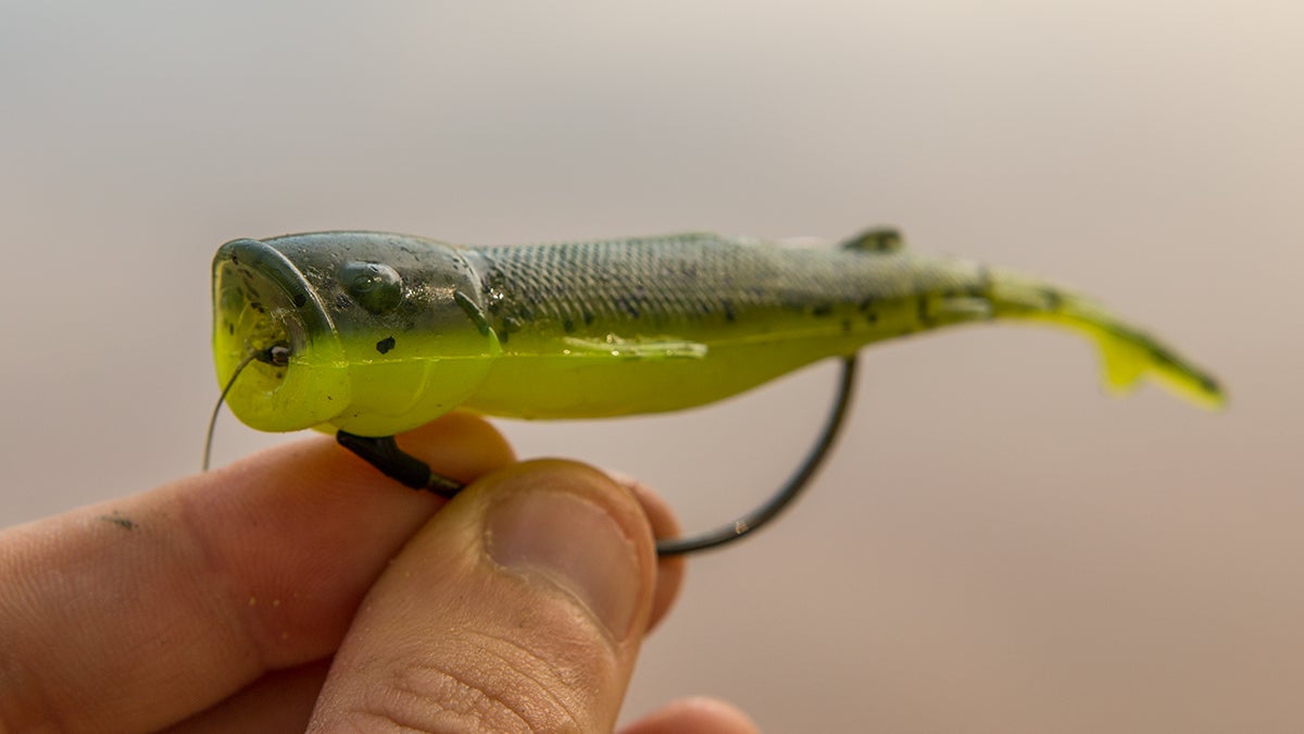 ZMan Pop Shadz Review