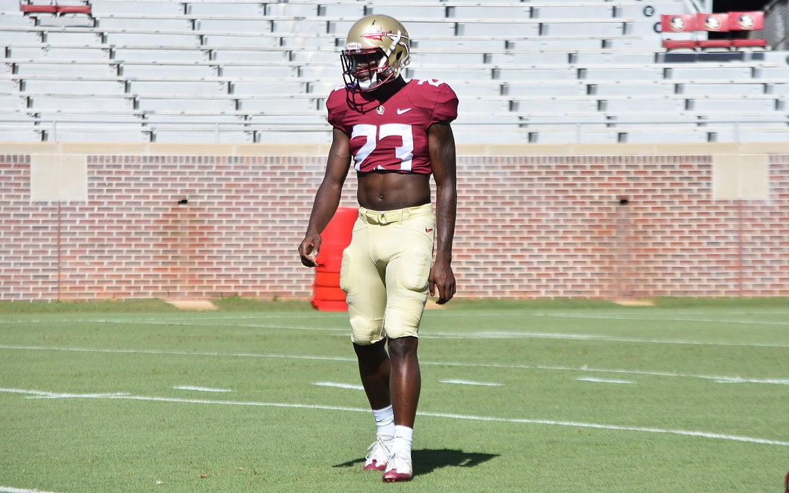 Examining Hamsah Nasirildeen's journey from quiet kid to burgeoning star at  Florida State - The Athletic