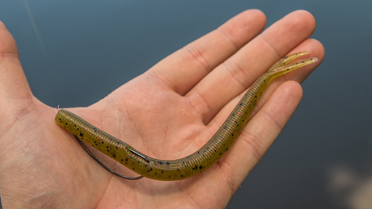 Zoom Fluke Stick Review