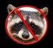 hambonepack avatar