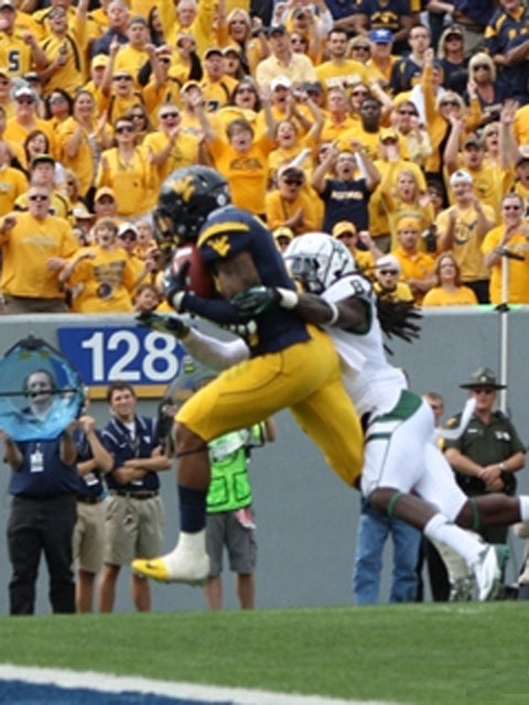 Stedman Bailey Scouting Report: NFL Outlook for West Virginia WR, News,  Scores, Highlights, Stats, and Rumors