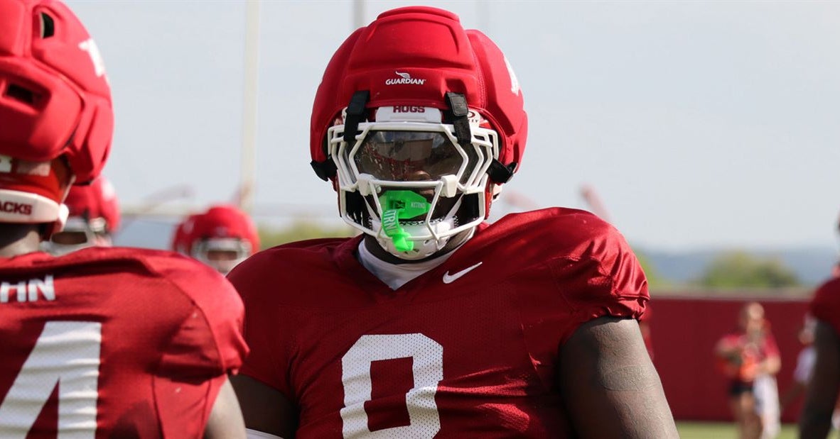 Hunter Osborne emerges as leader for Arkansas defense