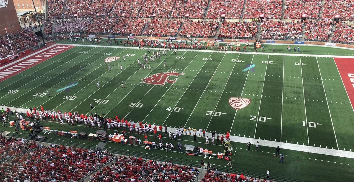 WSU football live updates Scores, results, highlights