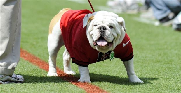 The 2016 UGA football team ranked as recruits