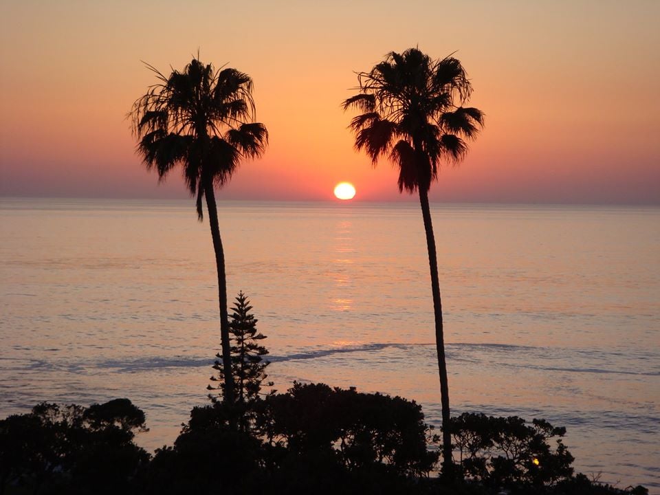 How much money did the Collective pay for this again?