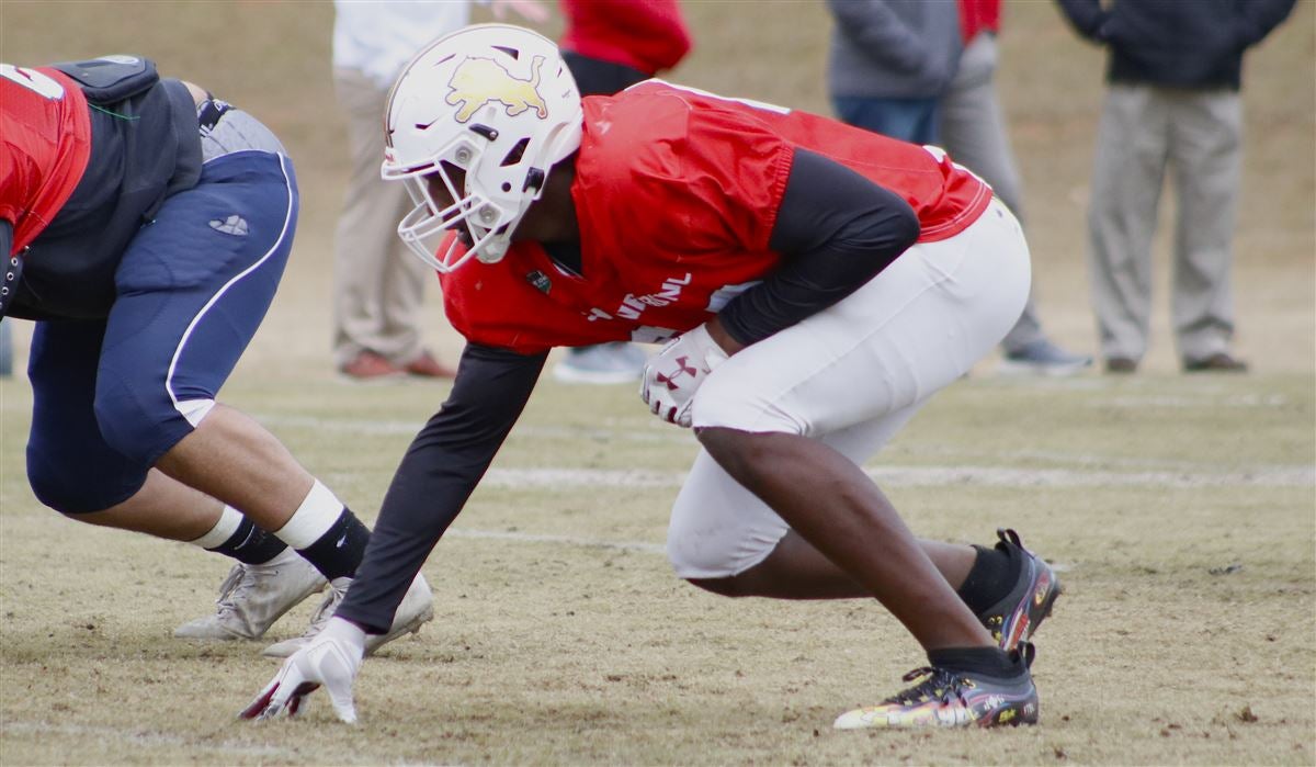 Best Bets: Early Enrollees from the 2023 cycle