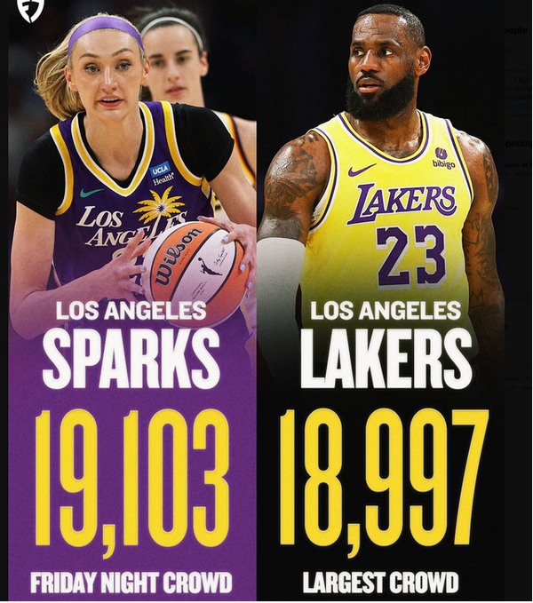 Bows in the pros -WNBA /Europe Pro Leagues -Men