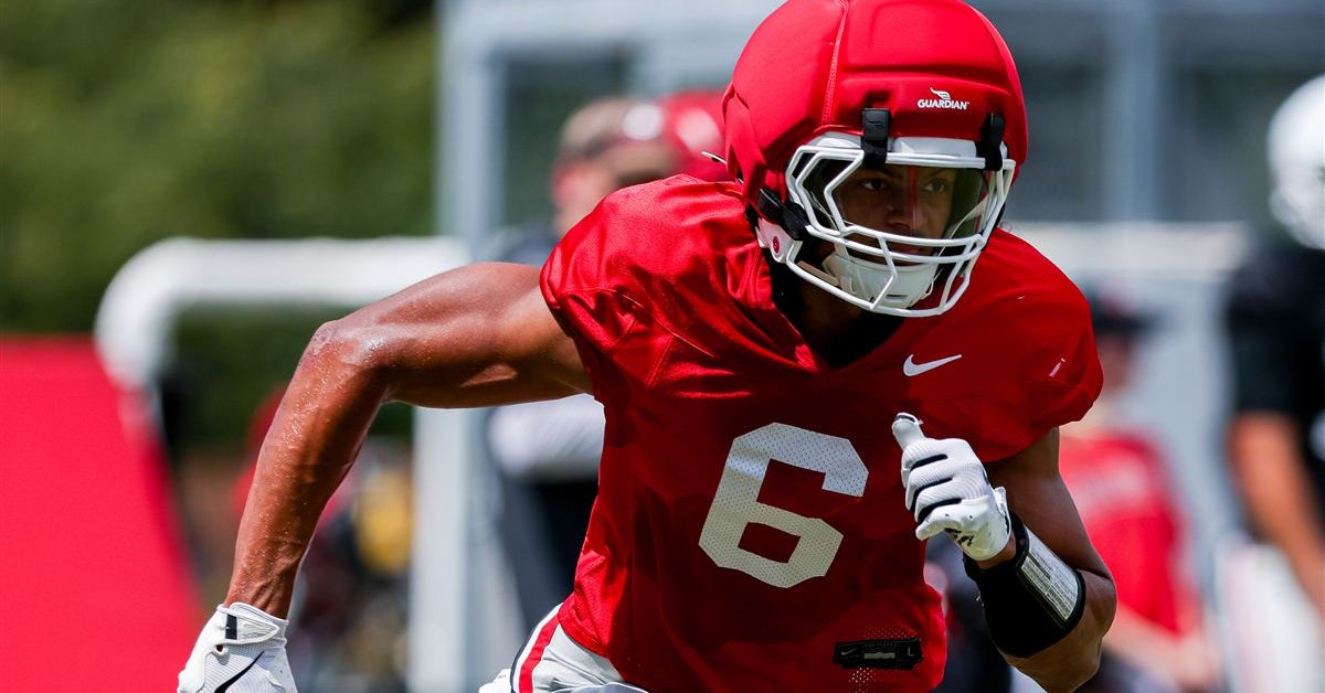 Former Georgia Tech receiver Isiah Canion settling in at Georgia