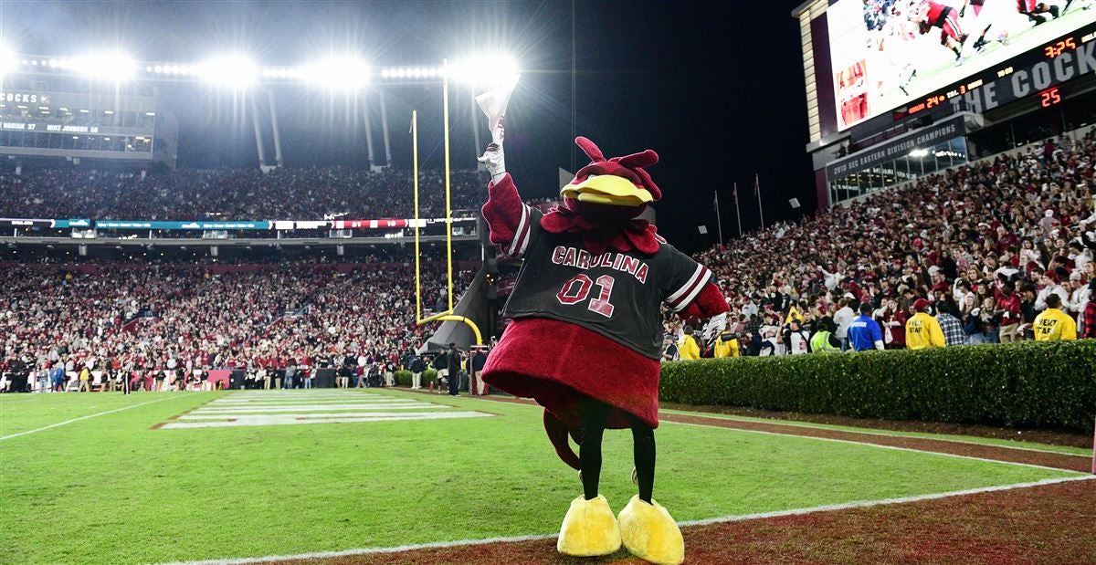 Current contract for each South Carolina Gamecocks football assistant coach - Vimarsana News
