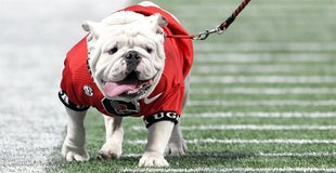 Dawg Treats - Big week ahead in Athens? Dawg Treats - Big week ahead in Athens?