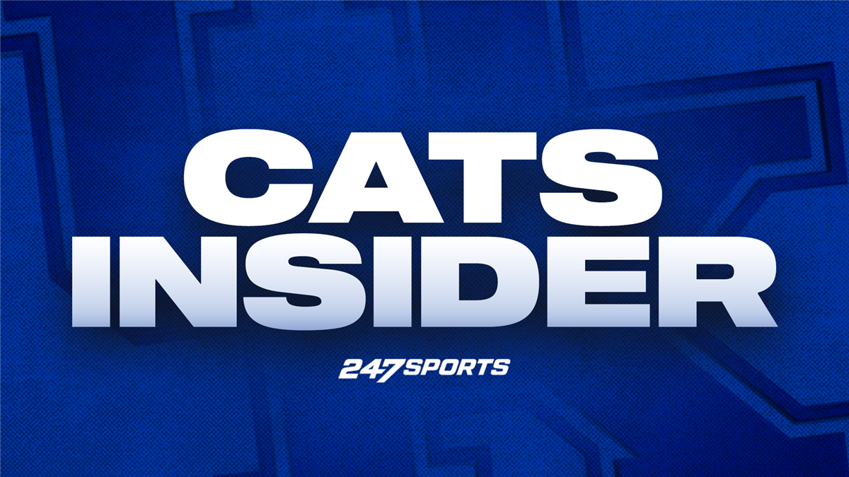 Cats Insider Cutter Boley dynamic and other developments