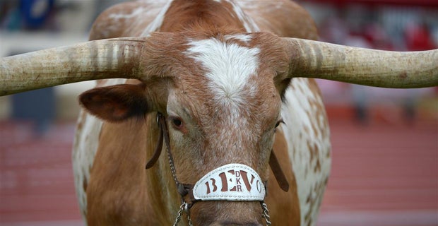 Bevo named college football's top live mascot by Fox Sports