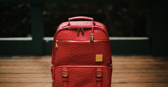 Fsu bookbag top