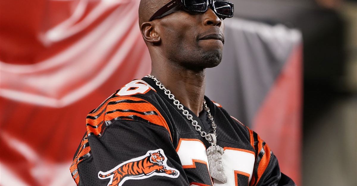 Chad Johnson says hes fighting James Harrison in MMA exhibition before the ...