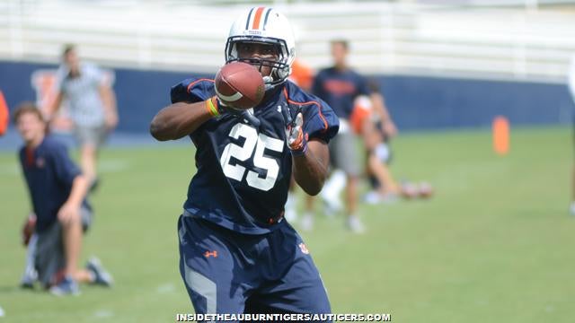 Thieves break into Tampa Bay running back Peyton Barber's car