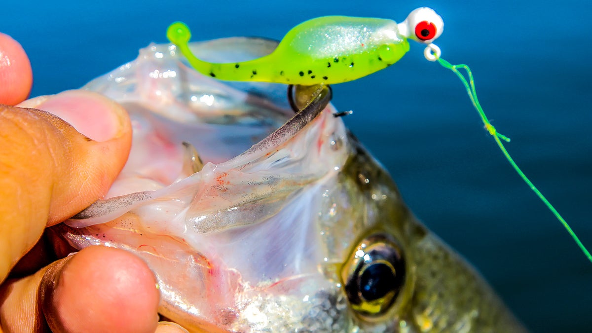 Choosing the Right Soft Plastic for Crappie