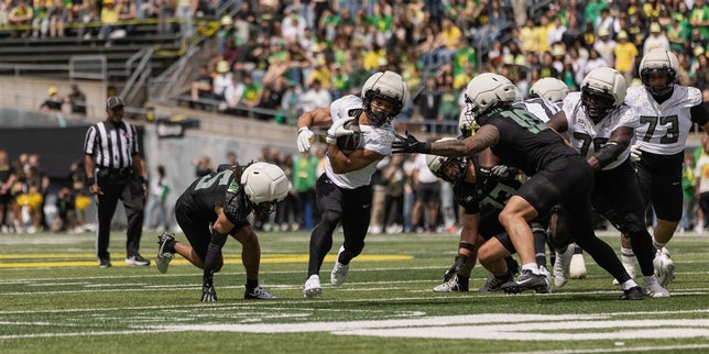 13064406.jpg?fit=bounds&width=644&height