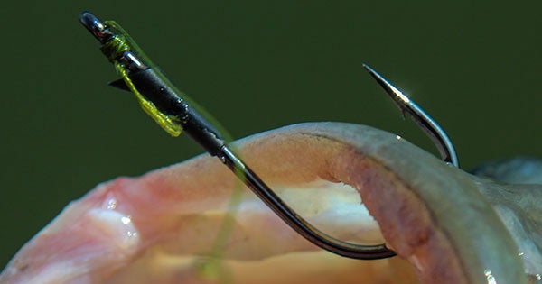 How to Choose Bass Fishing Line