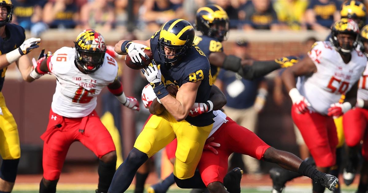 Pittsburgh Steelers select TE Zach Gentry in 2019 NFL Draft