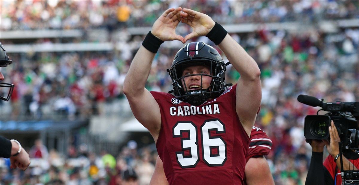 Former Vikings make standout Gator Bowl plays - Vimarsana News