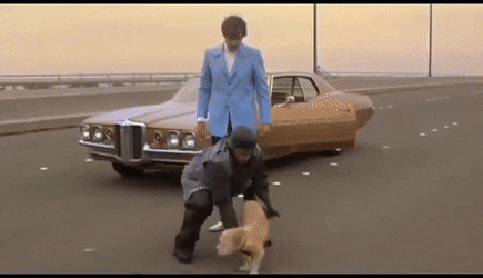 11720414.gif