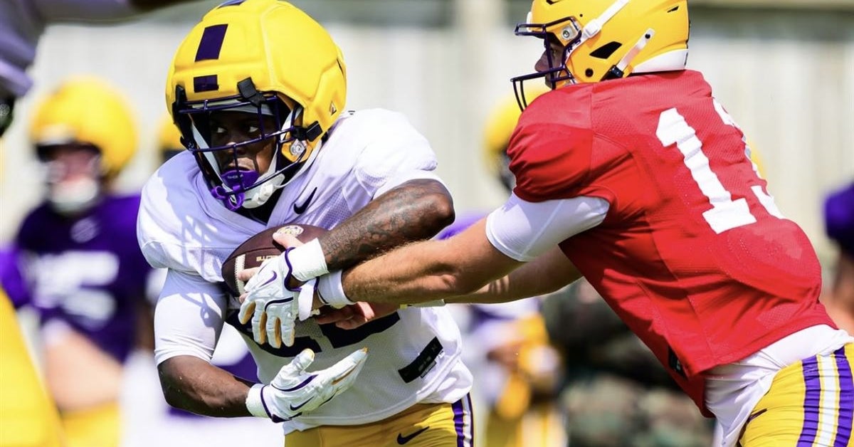 How LSU's freshman offensive class is progressing in fall camp