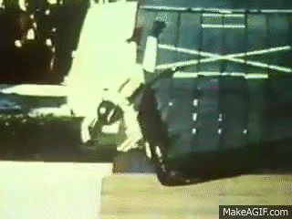 10978417.gif